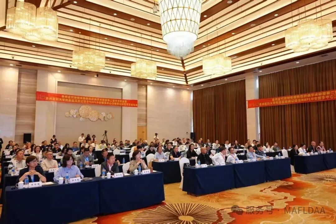 MAFLDAA|贵州省代谢相关脂肪性肝病学术联盟2025学术年会暨病证结合NAFLD全国多中心注册登记研究启动会在贵阳成功召开 MAFLDAA|贵州省代谢相关脂肪性肝病学术联盟2025学术年会暨病证结合NAFLD全国多中心注册登记研究启动会在贵阳成功召开